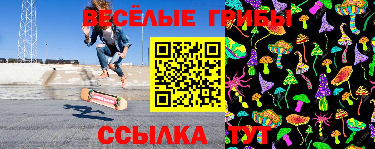 Псилоцибиновые грибы Magic Shrooms Муром