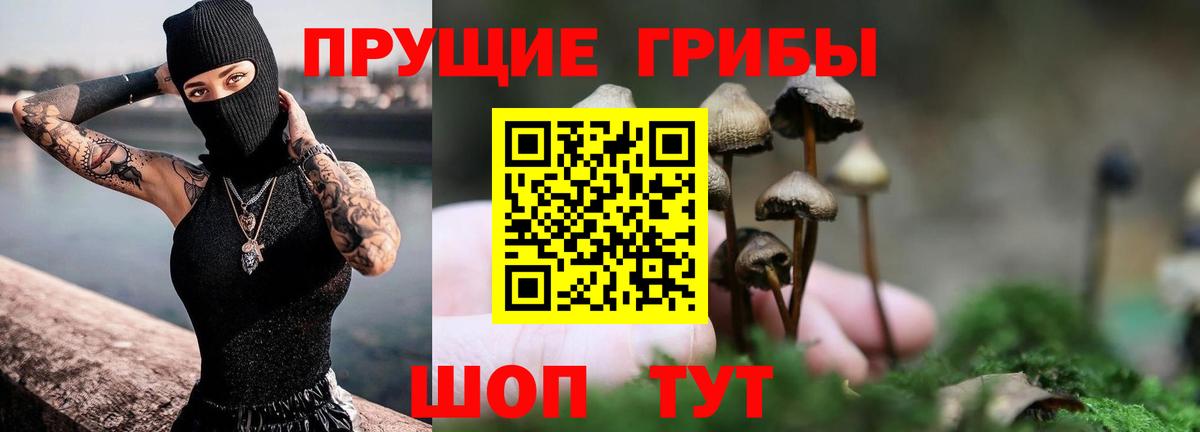 Муром  Галлюциногенные грибы прущие грибы  Вход с VPN 
